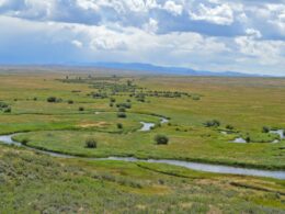 Image of the Illinois River in Colorado