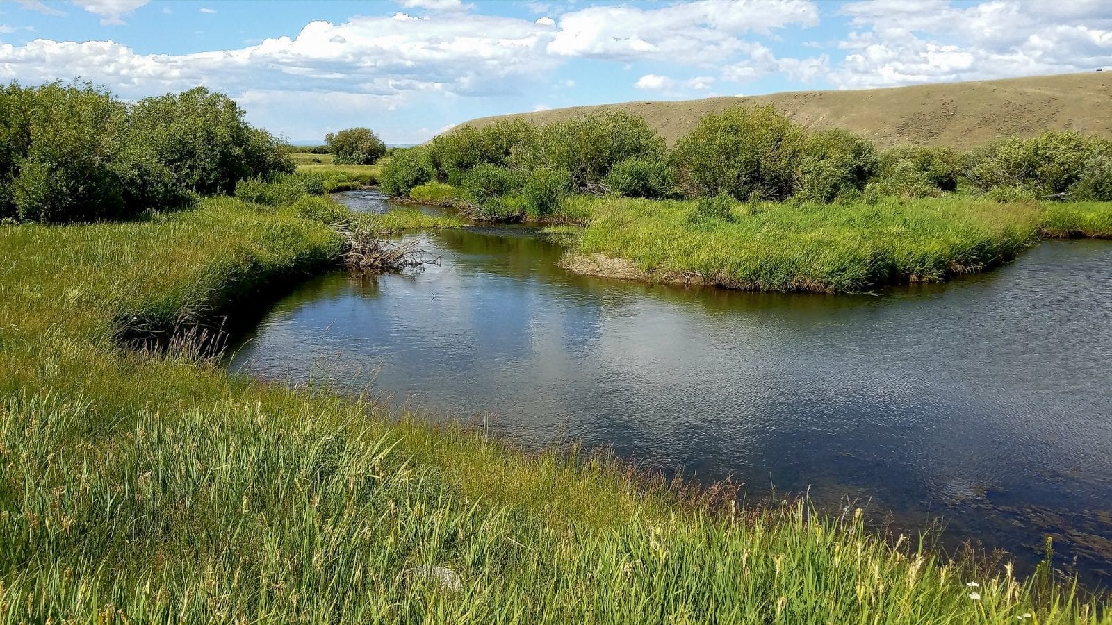 Image of the Illinois River in Colorado