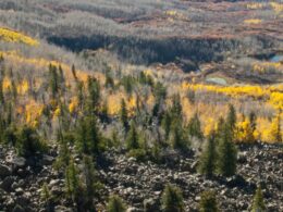 Image of the Kannah Creek in Colorado