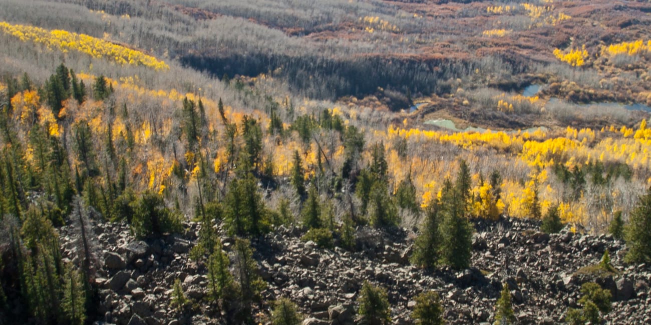 Image of the Kannah Creek in Colorado