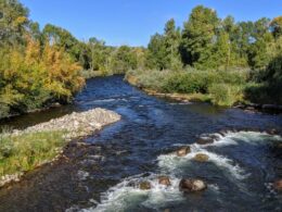 Image of the Los Pinos river looking north in Colorado