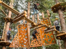 Lost Forest Snowmass Resort Aerial Course