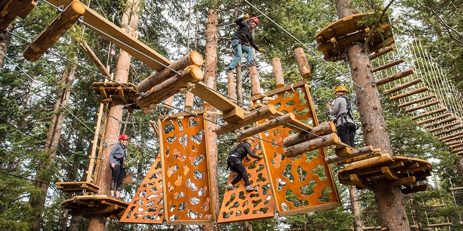 Lost Forest Snowmass Resort Aerial Course