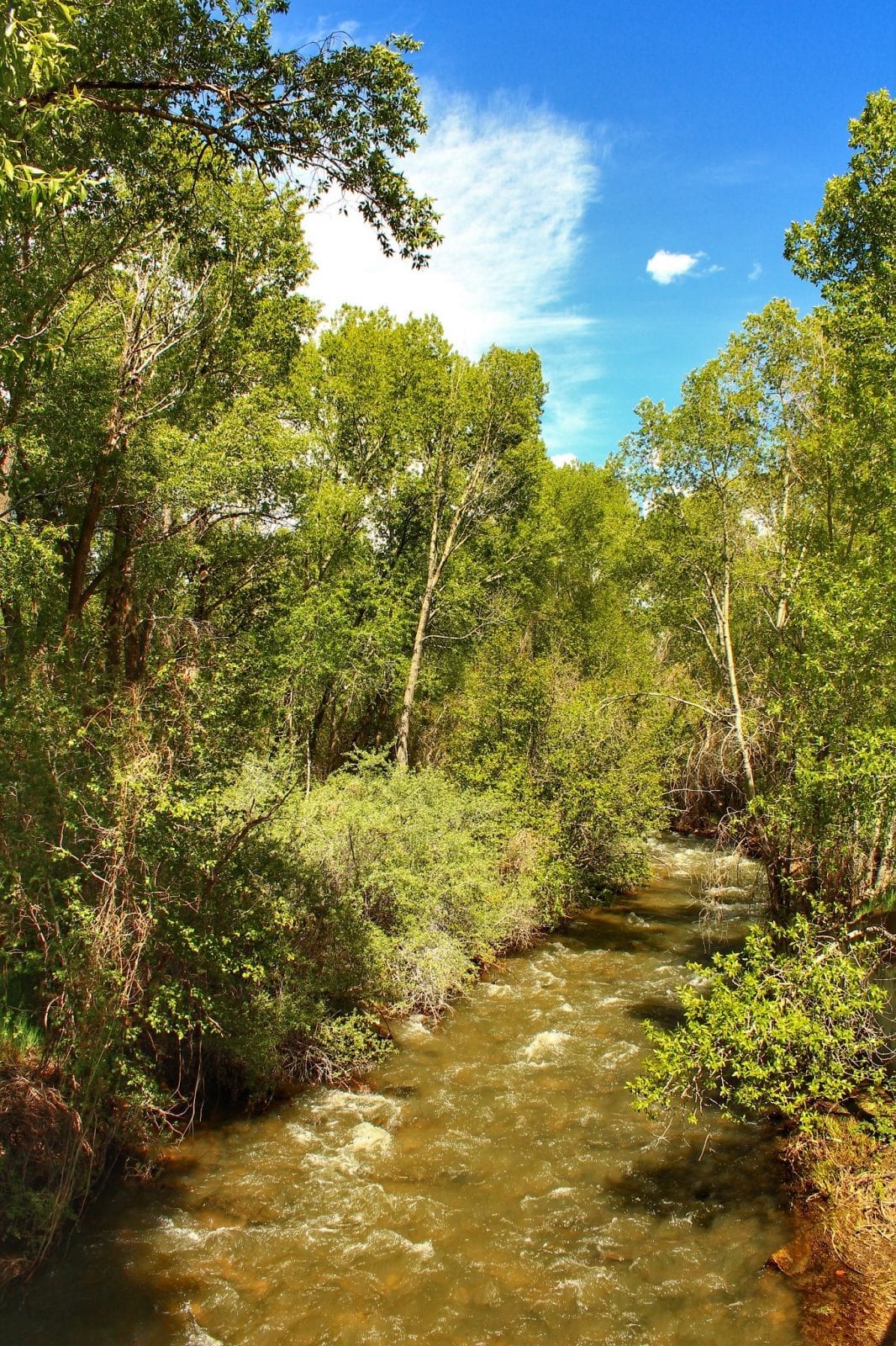 Image of the Mancos River in Colorado