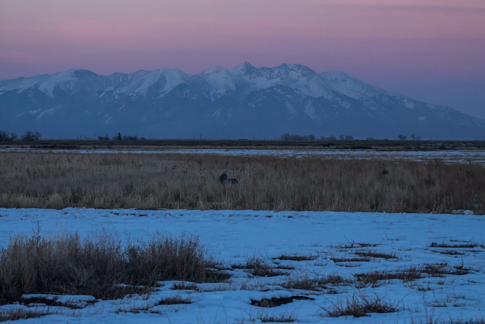 Monte Vista National Wildlife Refuge Sunset