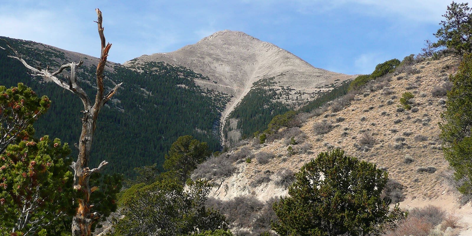 Mount Princeton Jeep Hiking Trail