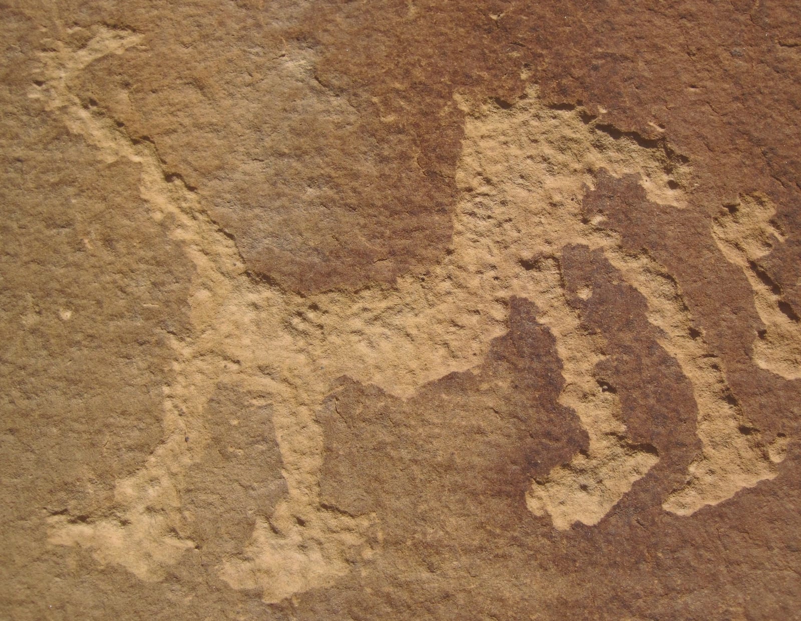 Petroglyph Point Trail Mesa Verde National Park Rock Art