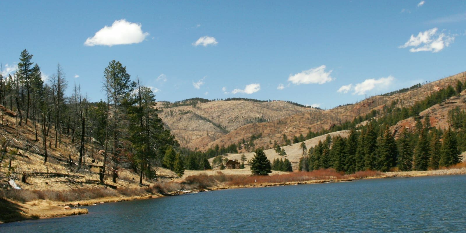 Pine Lake Pine Valley Ranch Open Space