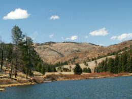 Pine Lake Pine Valley Ranch Open Space