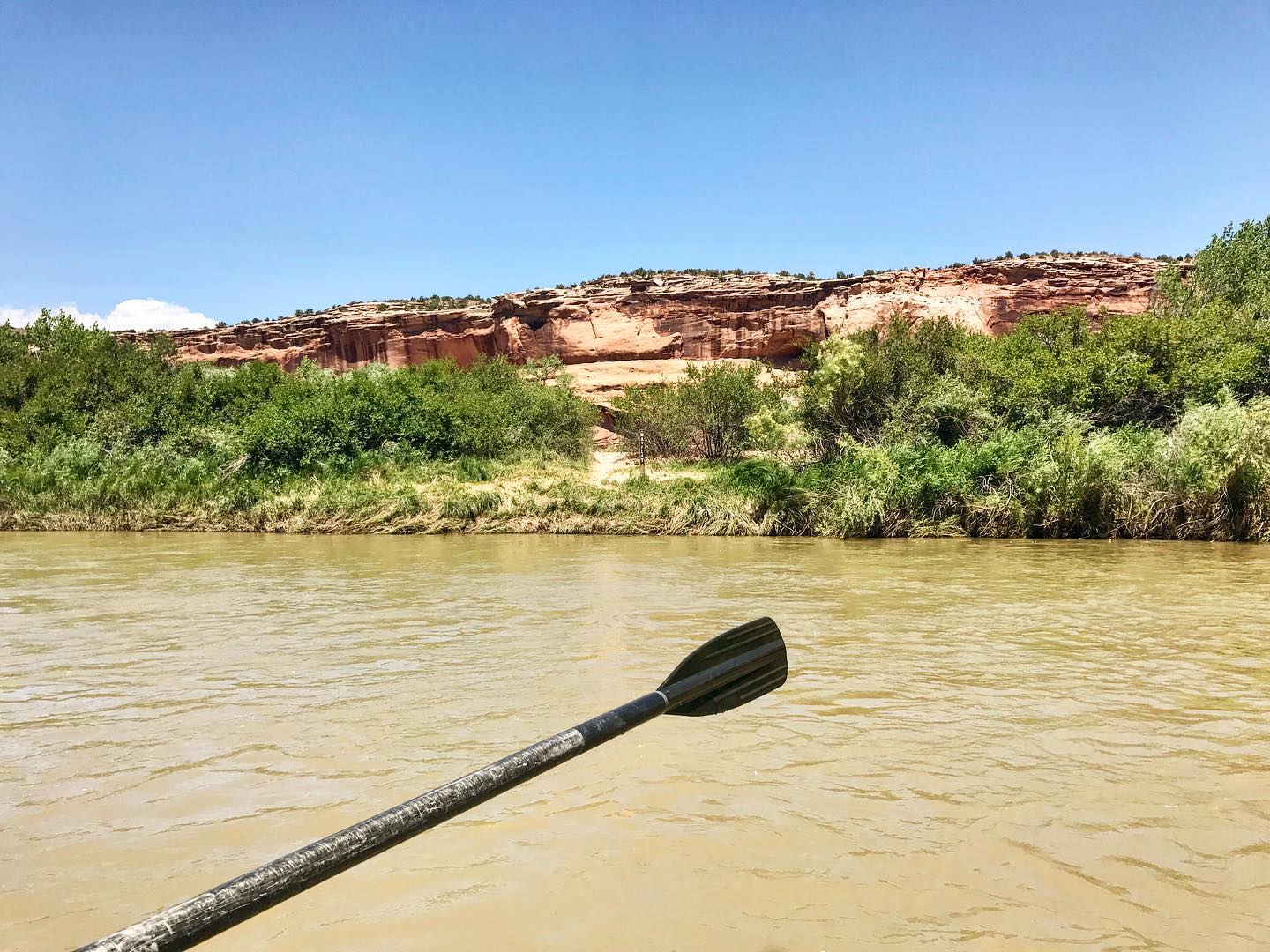 image of rafting colorado river