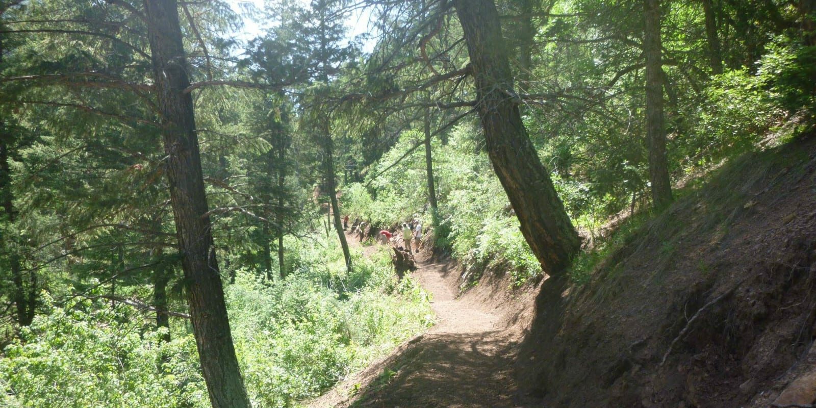 Image of the North Fork Trail at Reynolds Park in Conifer, Colorado