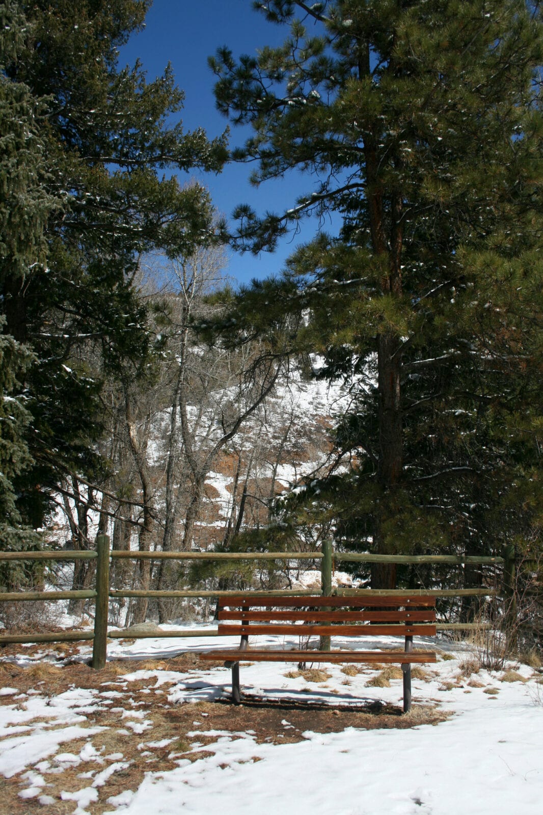 Image of a park bench in the winter at Reynolds Park in Conifer, Colorado