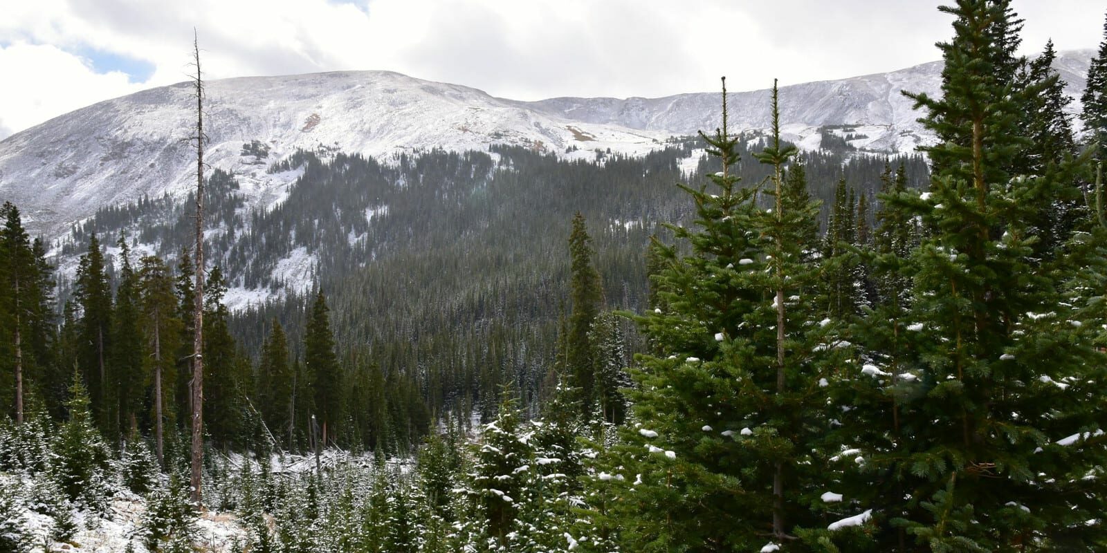 Image of the road to Geneva City, Colorado