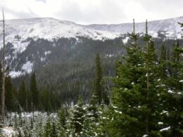 Image of the road to Geneva City, Colorado