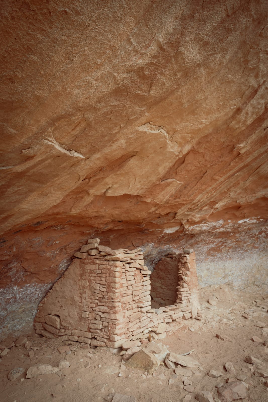 Sand Canyon Trail Canyon of the Ancients Colorado