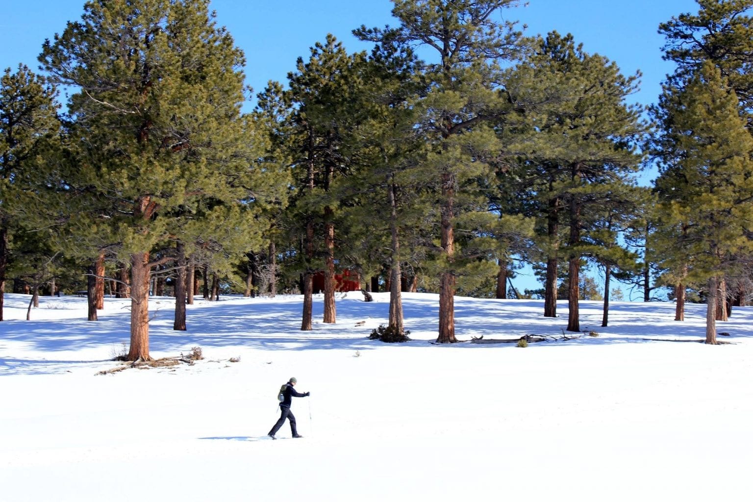 Top things to do in Ridgway, Colorado