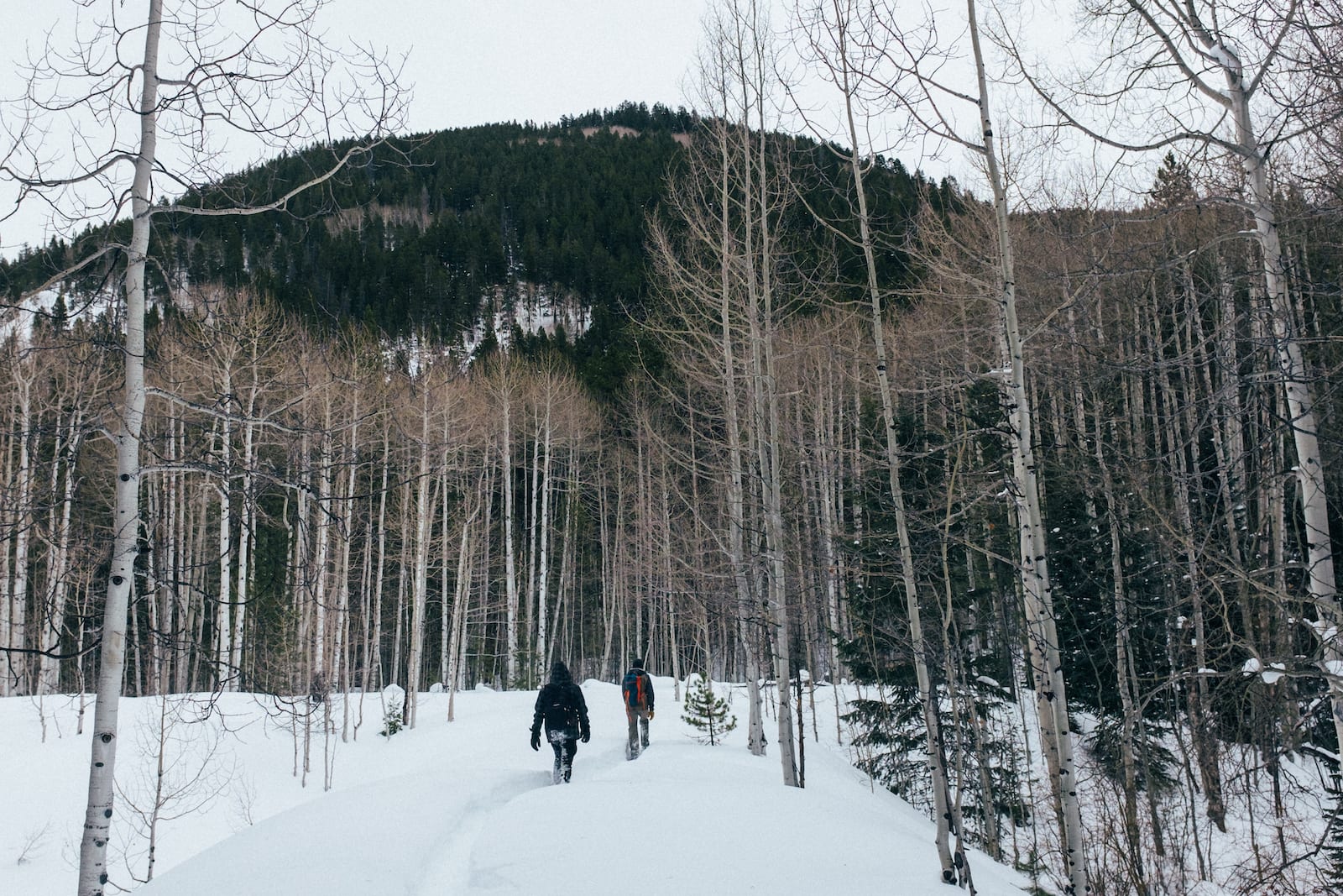 Snowshoeing Smugglers Mountain Trail Aspen CO