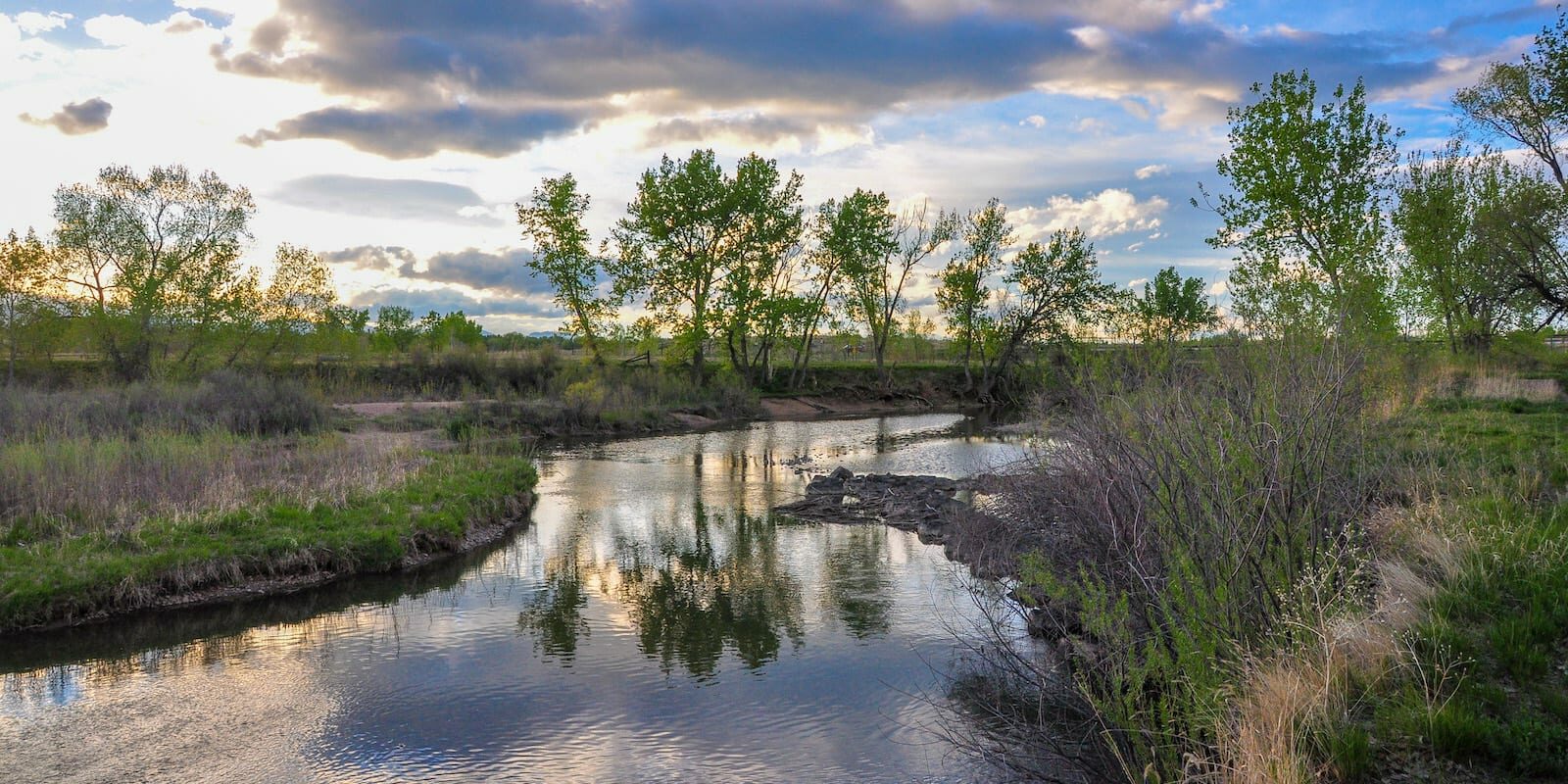 South Platte Park Littleton Colorado Springtime