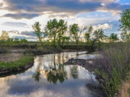 South Platte Park Littleton Colorado Springtime