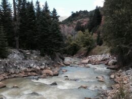 Image of the Uncompaghre River in Colorado