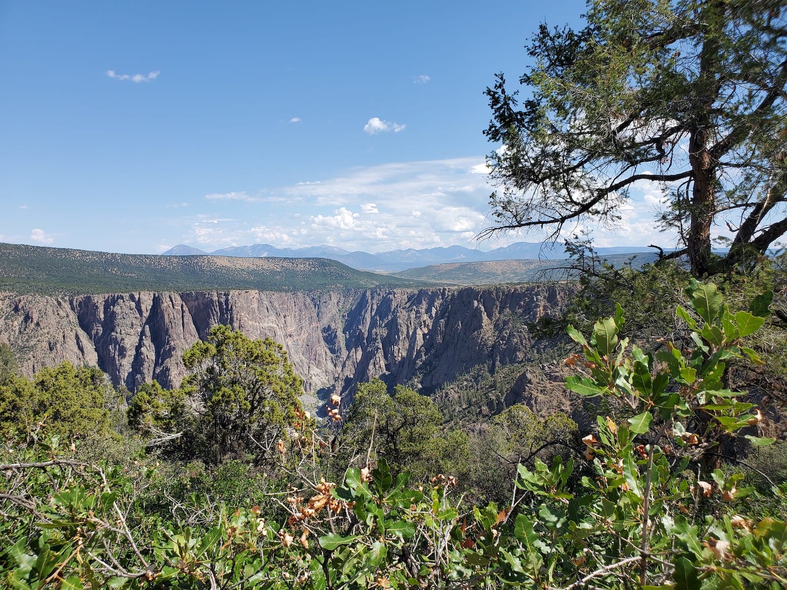 Jalur Alam Warner Point Black Canyon di Gunnison