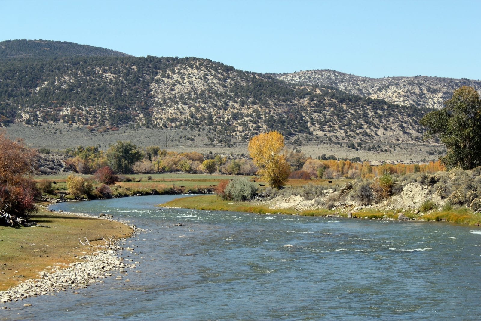 Image of the White River in Colorado