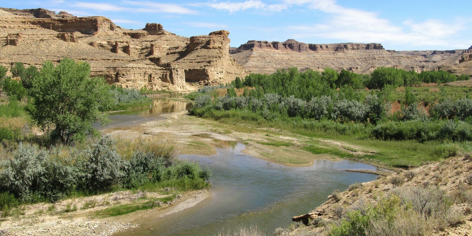 Image of the White River in Colorado