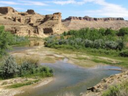 Image of the White River in Colorado