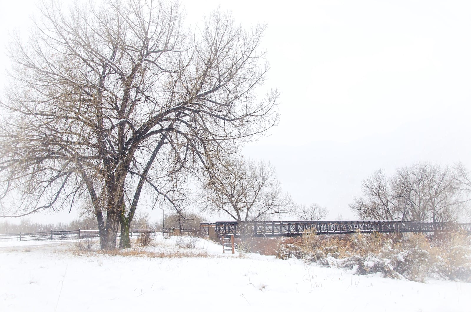 Carson Nature Center Winter Day Bridge over South Platte River