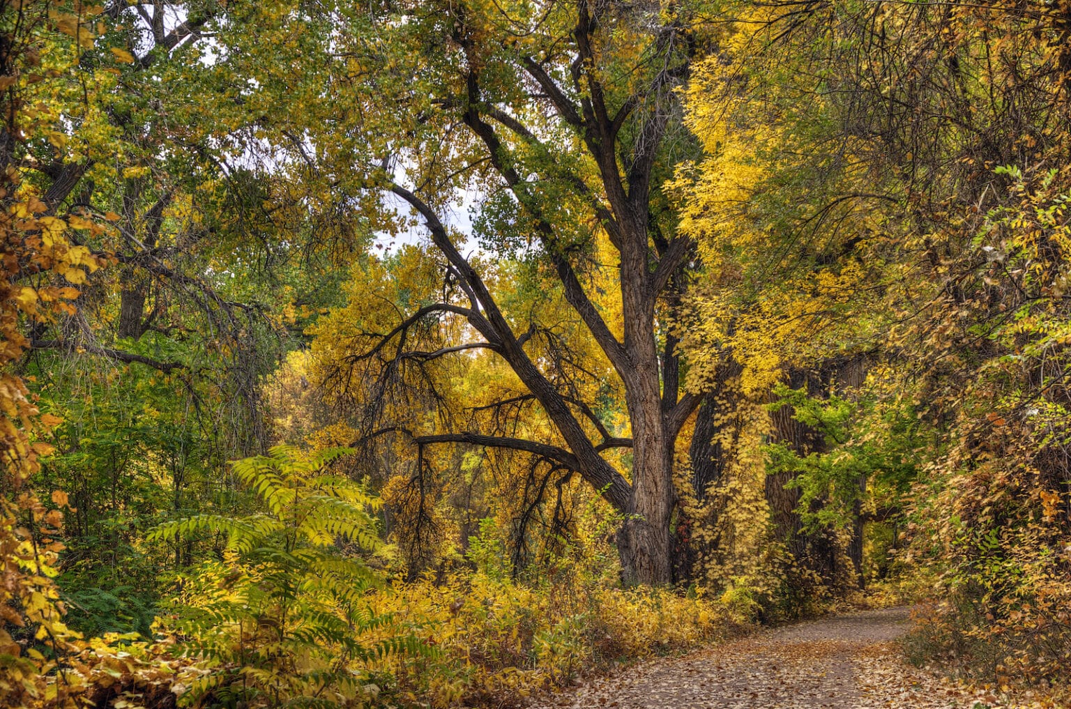 Top things to do in Cañon City, Colorado