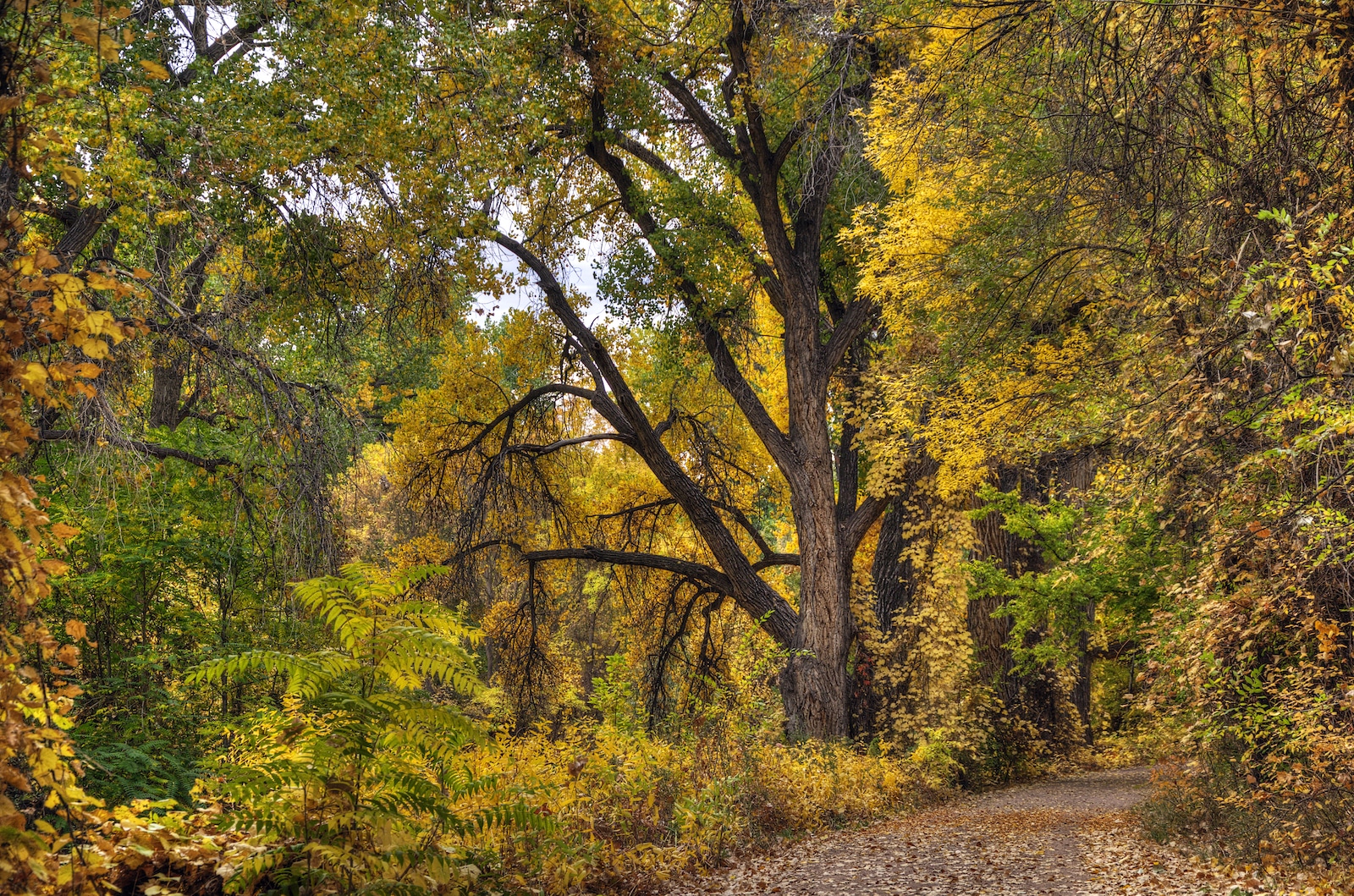 Arkansas Riverwalk Trail Canon city, CO