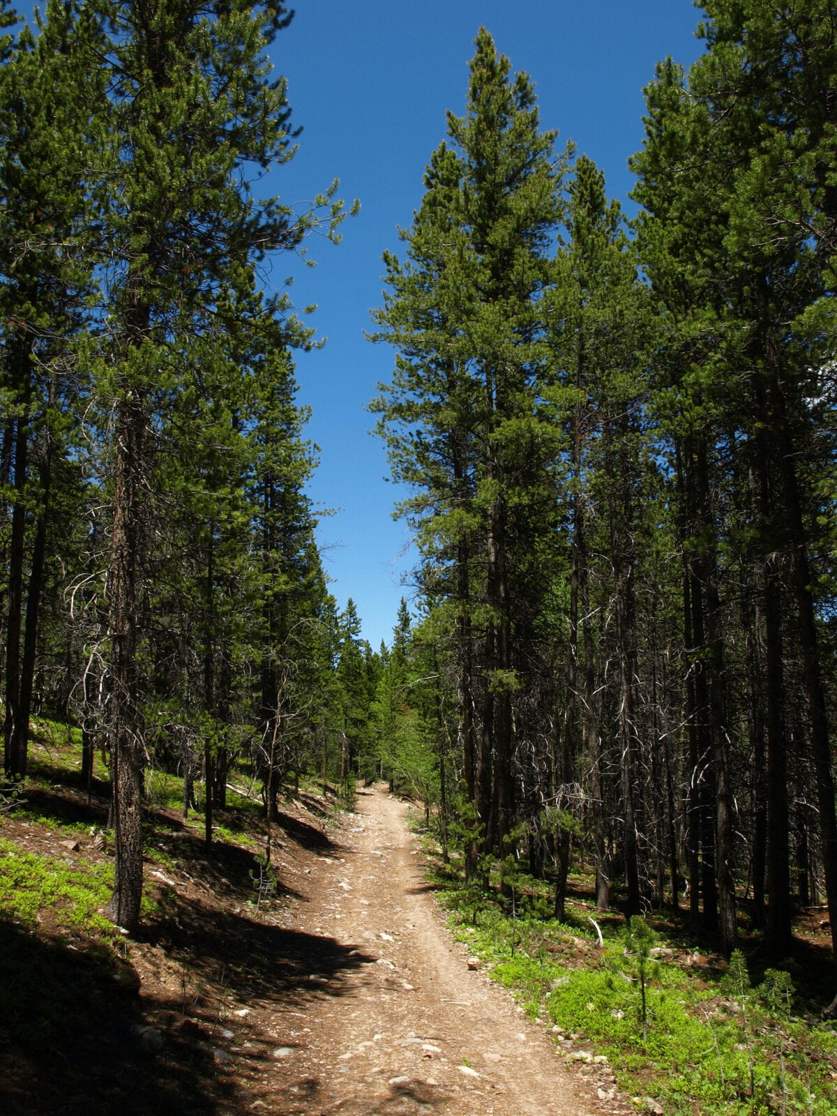 Burro Trail in Breckenridge, Colorado