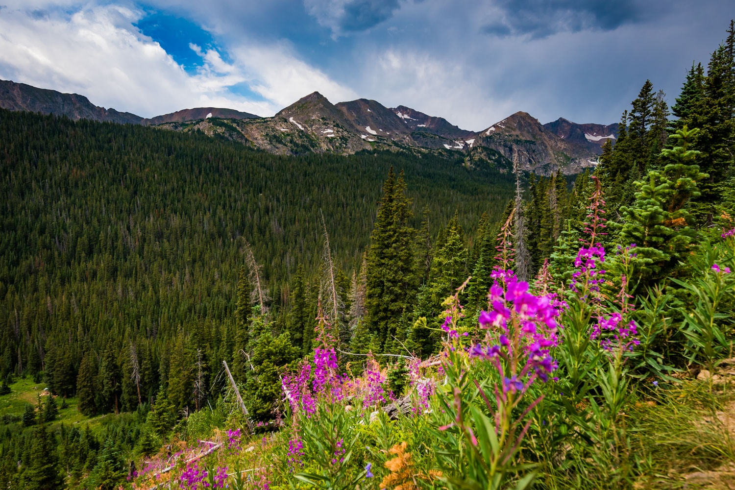 image of hiking nederland