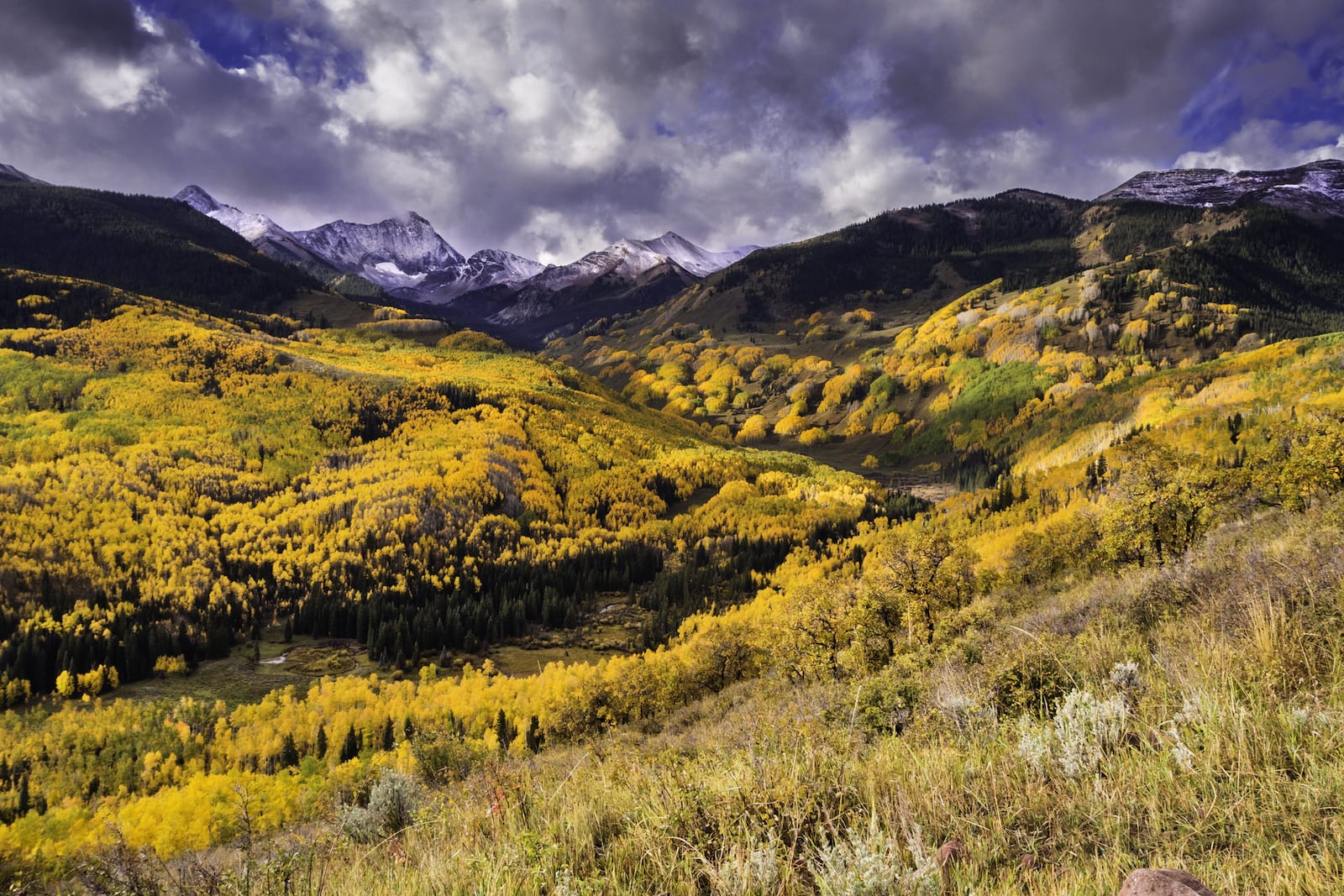 Fall Colors Below Capitol Peak, CO