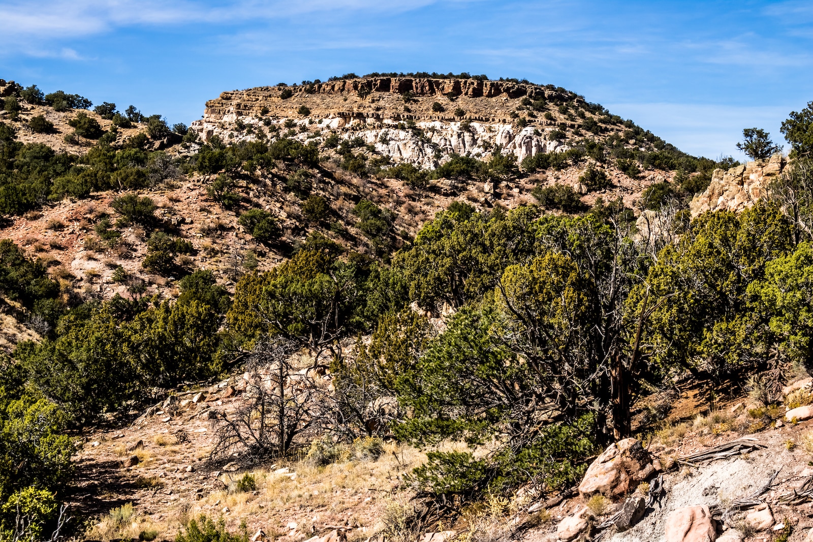 Garden Park Fossil Area, CO