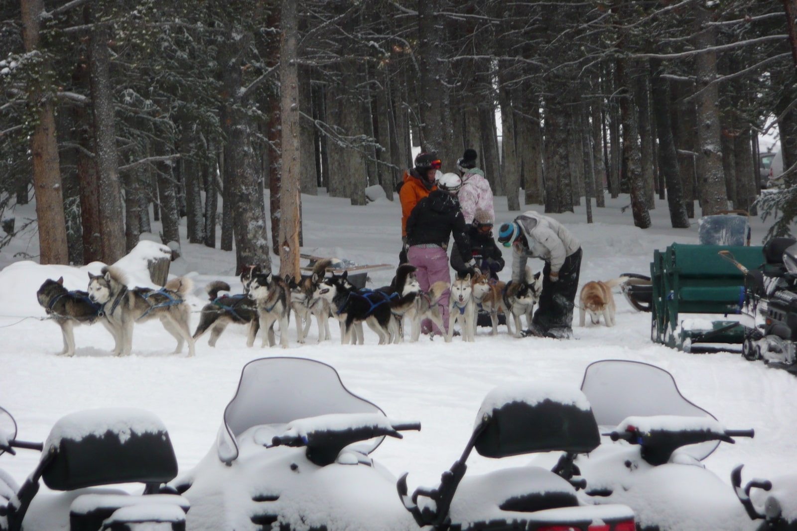 Good Times Adventure Tours, CO