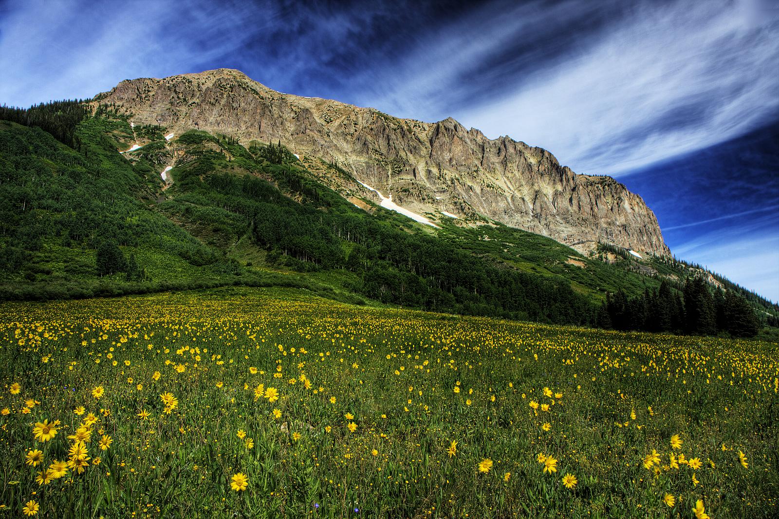 Gunnison National Forest, CO