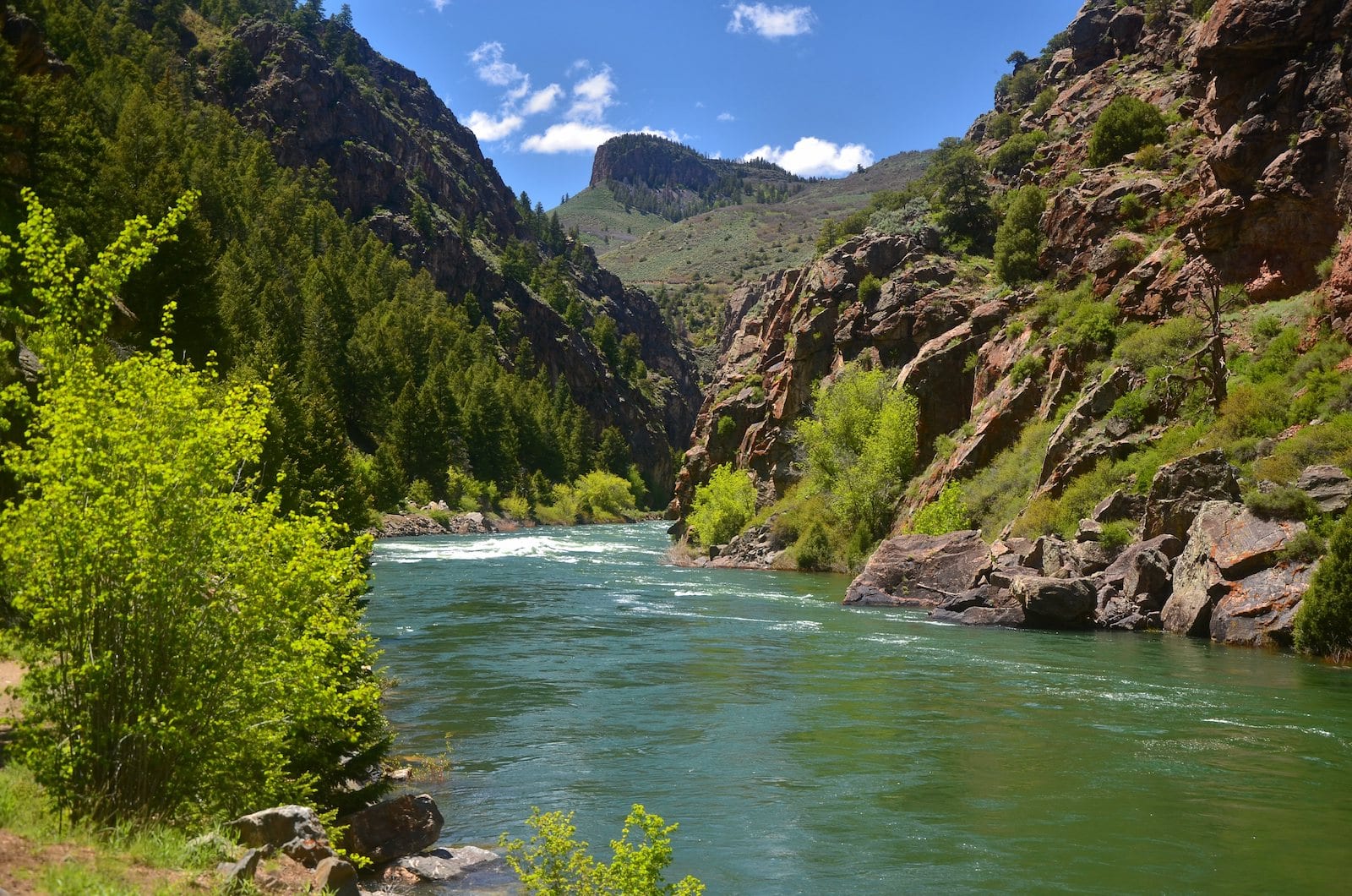 Sungai Gunnison, CO