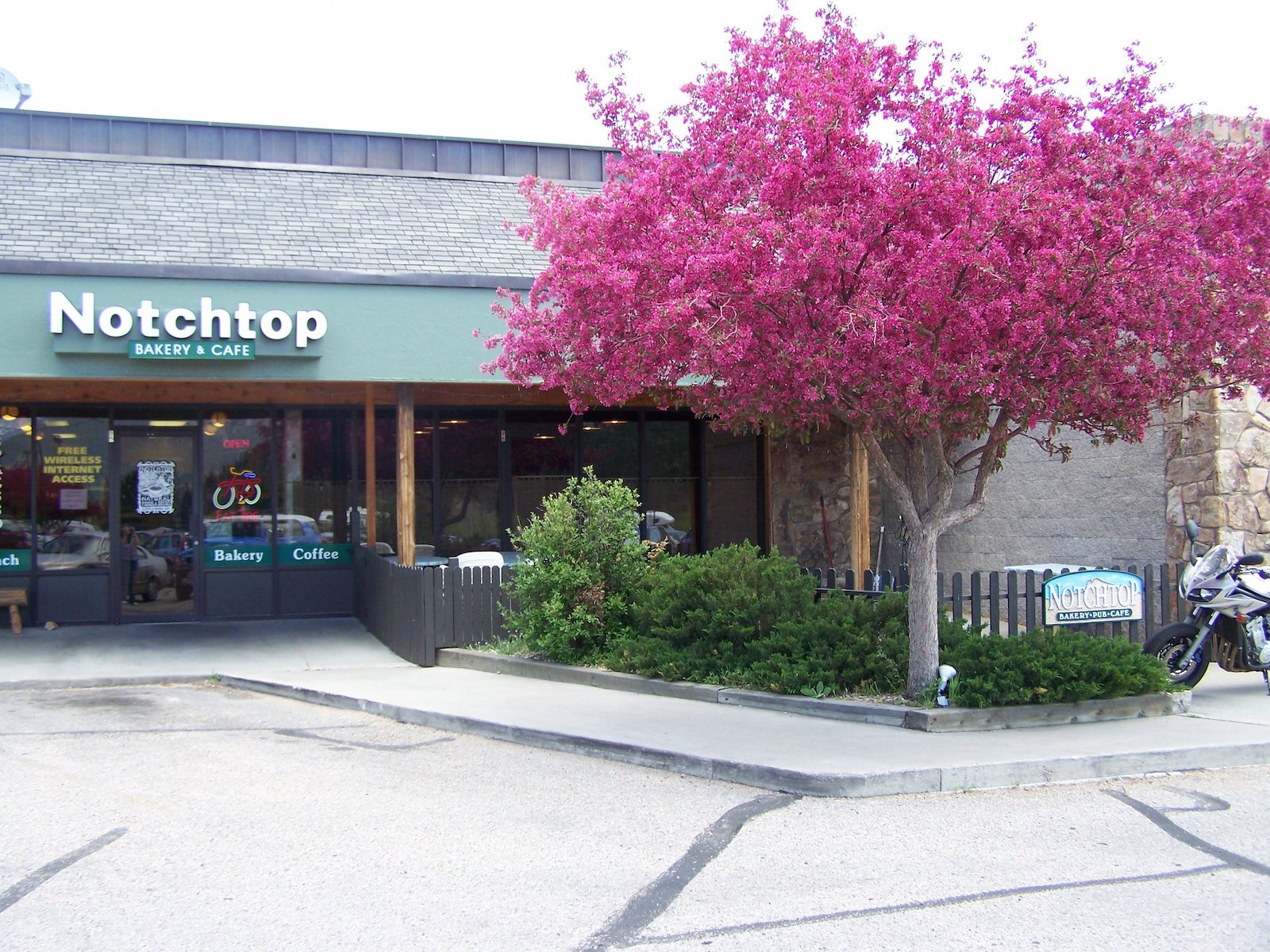 Notchtop Bakery & Cafe, CO