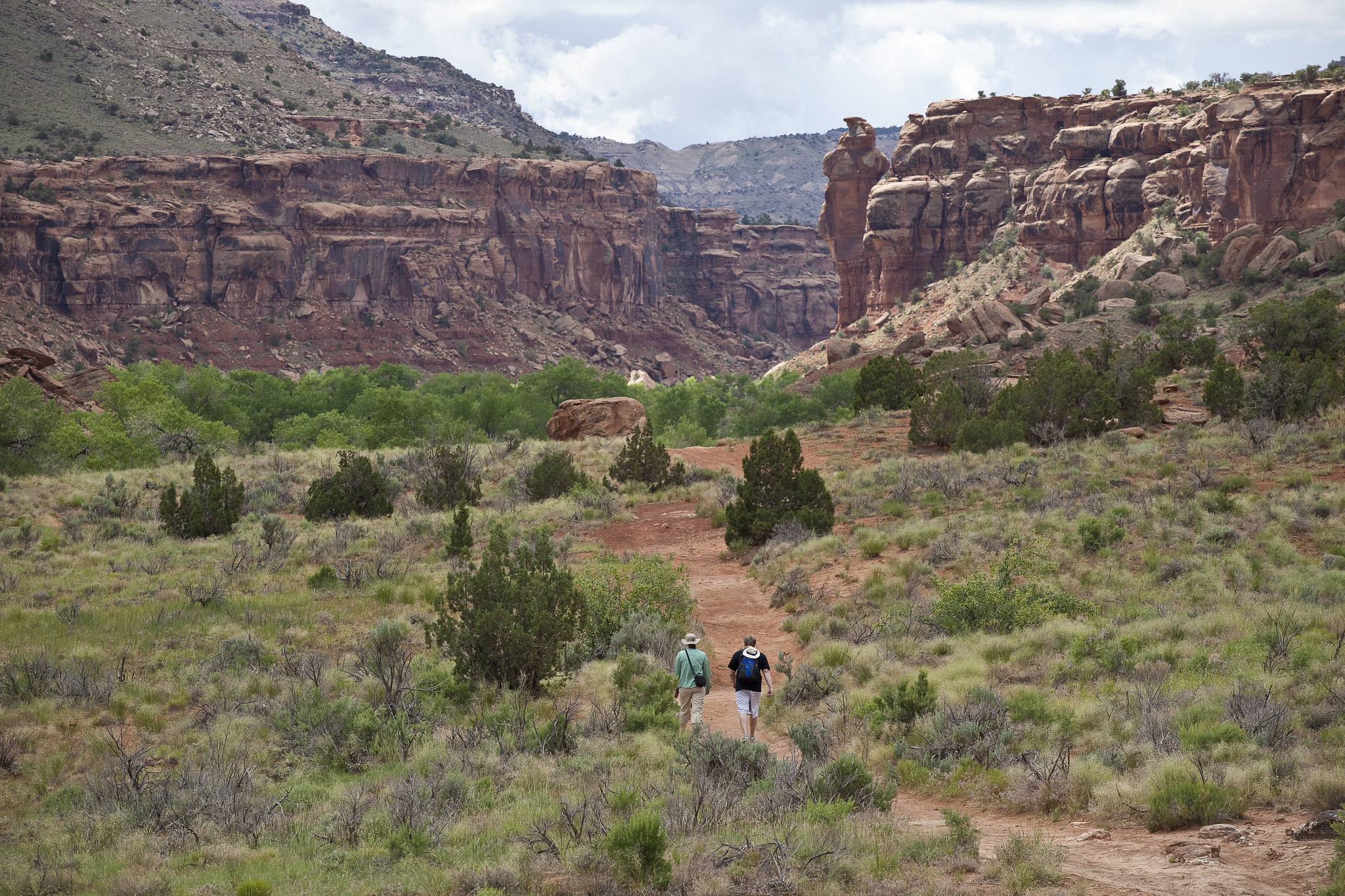 image of uncompahgre plateau