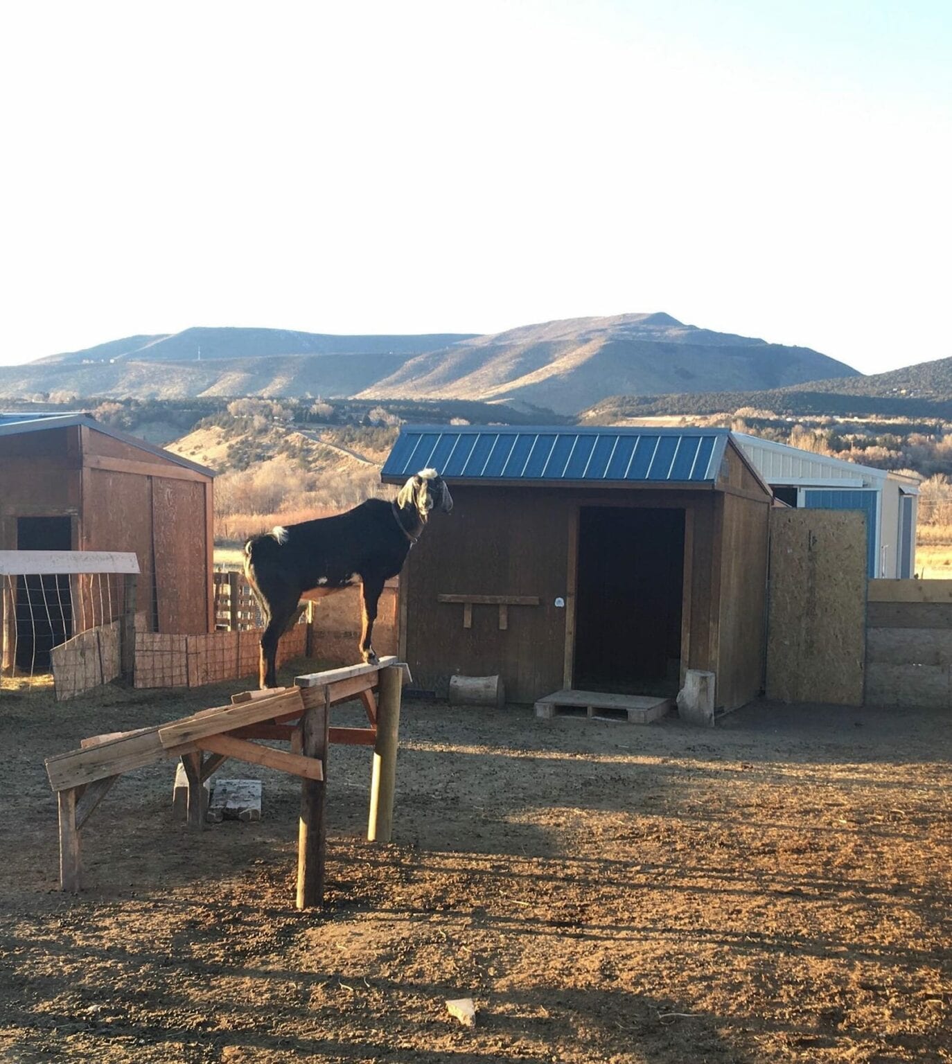 Top things to do in Paonia, Colorado