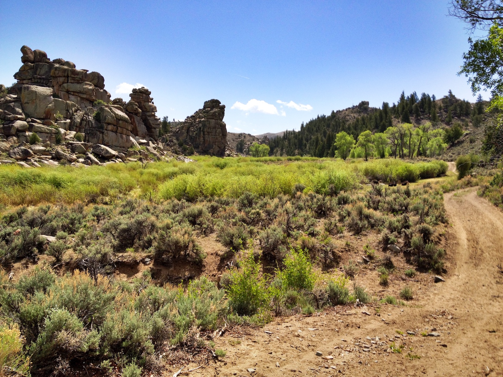 Aberdeen Loop, Hartman Rocks, Gunnison