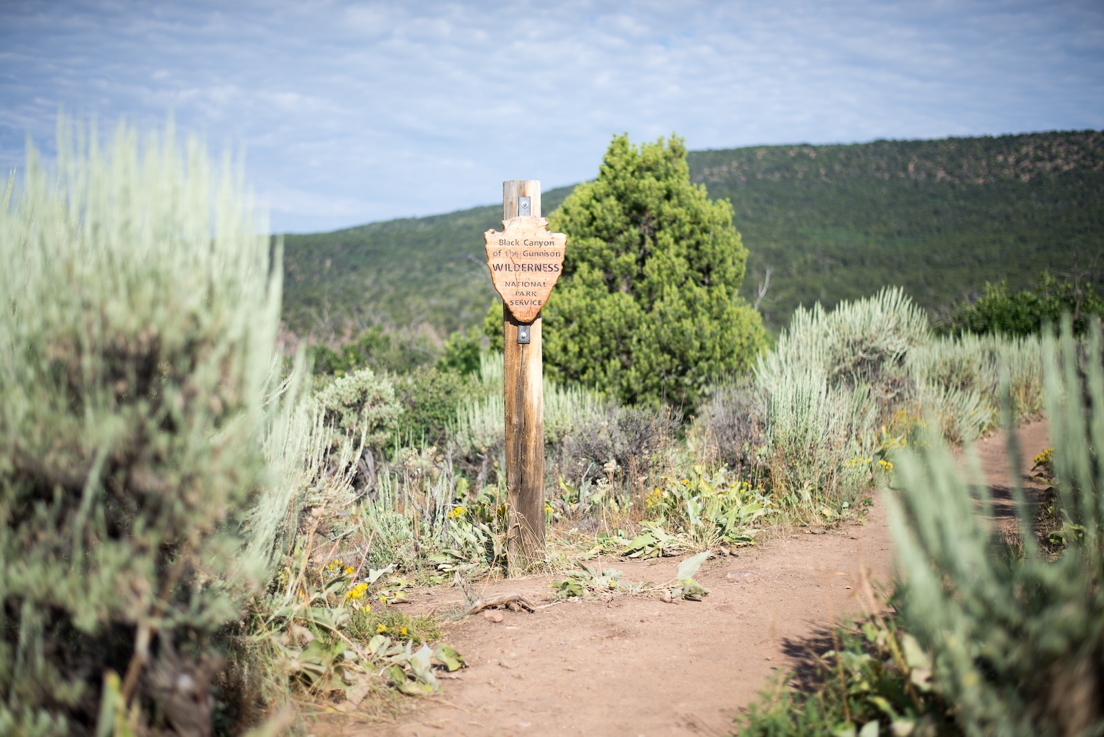 Black Canyon of the Gunnison Wilderness