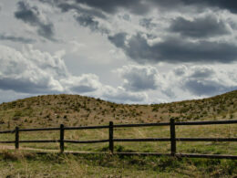 Image of the Bluffs Regional Park in Lone Tree, Colorado