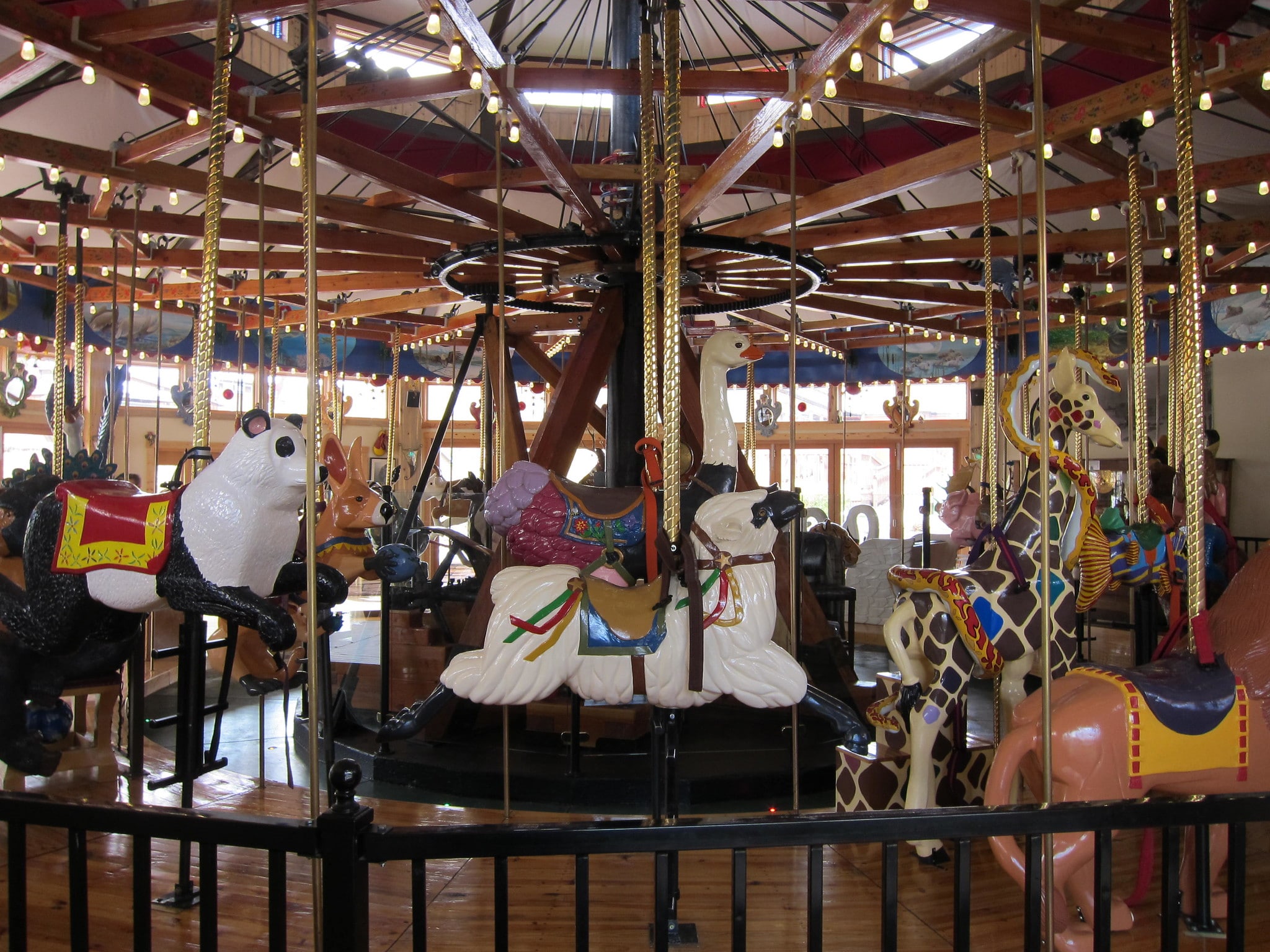 image of carousel of happiness