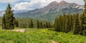 Cliff Creek Trail Gunnison County Colorado