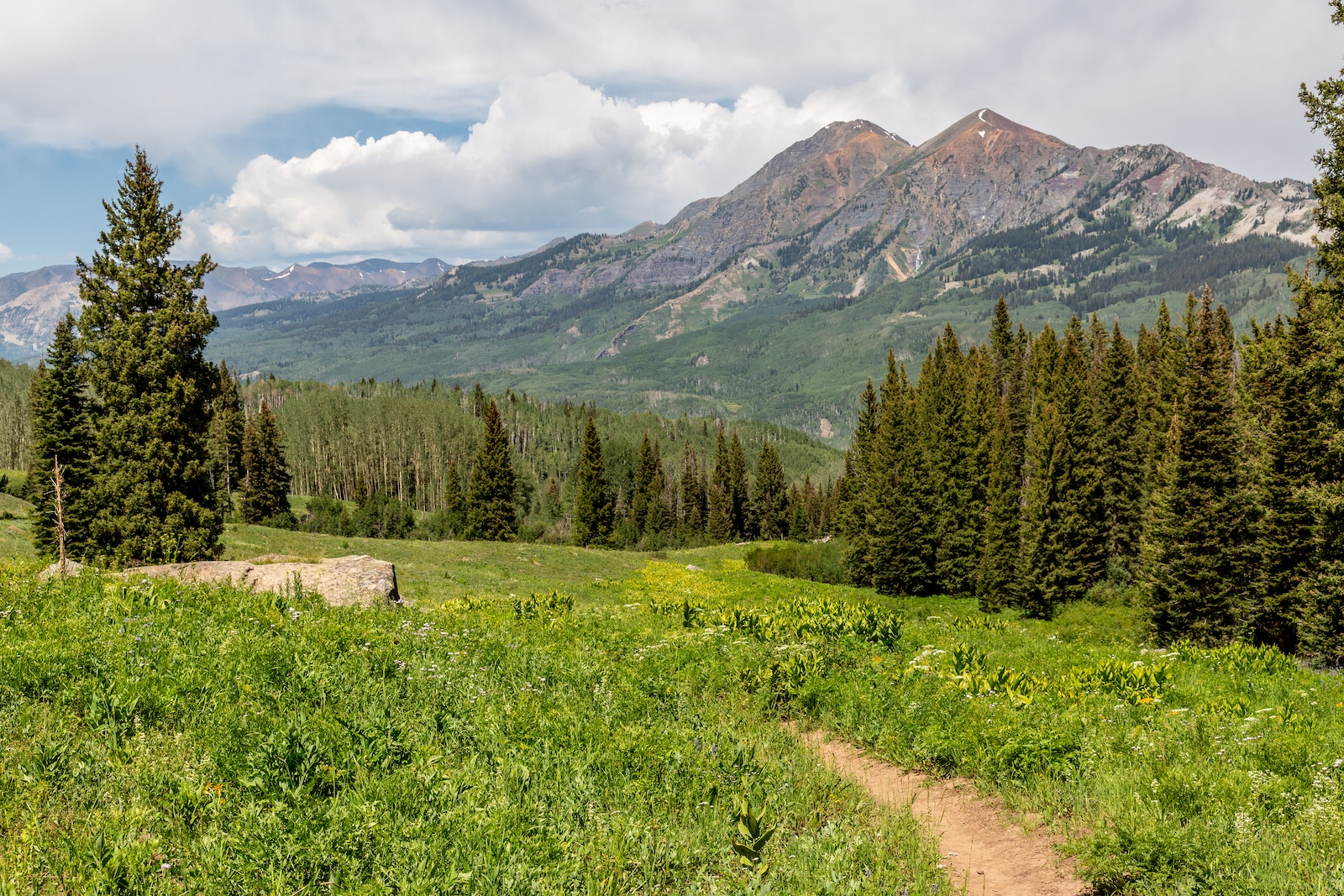 Cliff Creek Trail Gunnison County Colorado