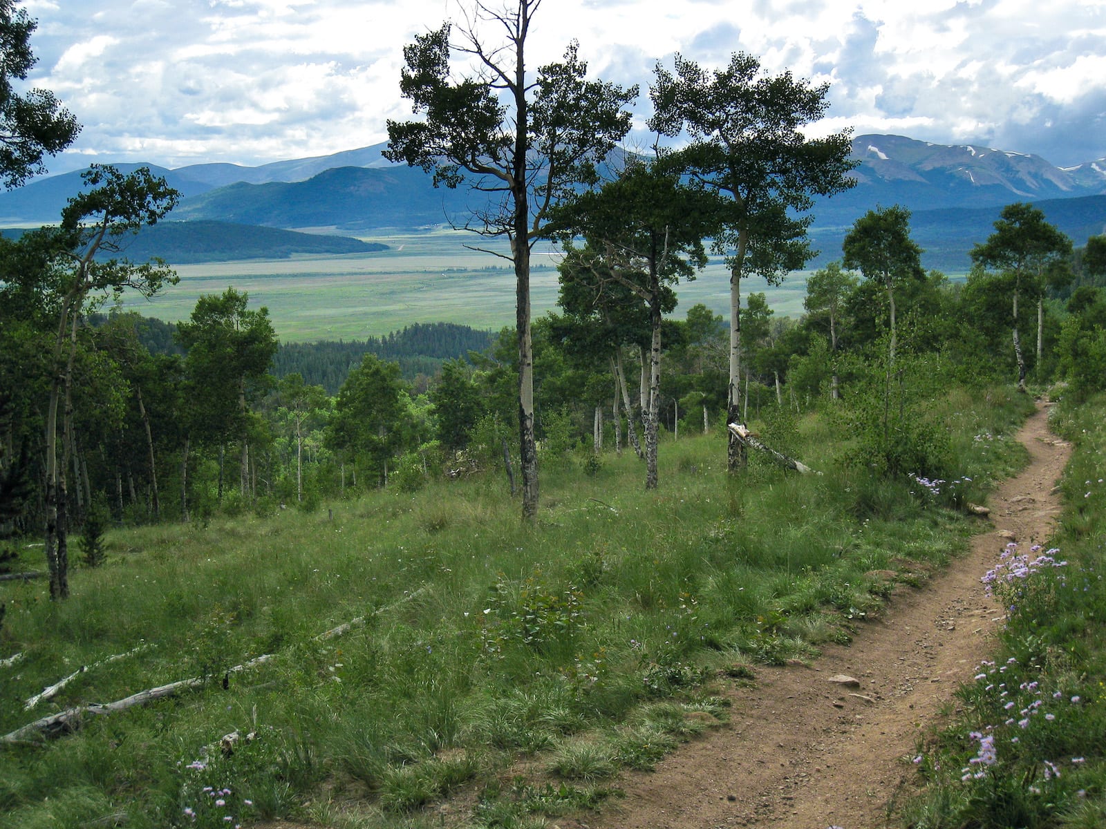 Colorado Trail on Kenosha Pass