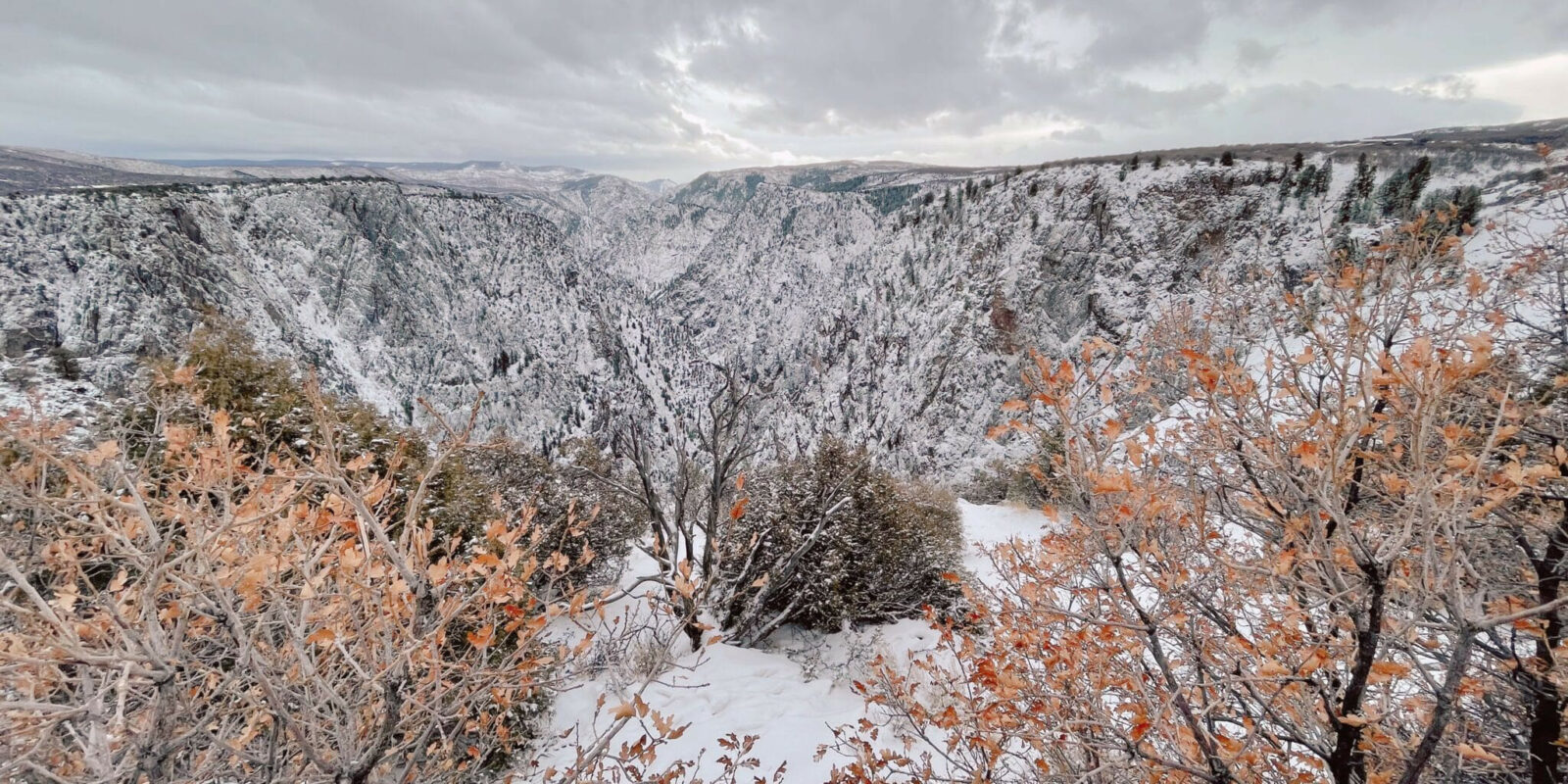 image of black canyon of the gunnison in the winter