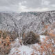 image of black canyon of the gunnison in the winter